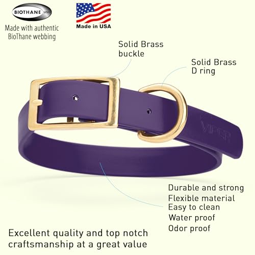 Image of Viper Biothane Heavy Duty Waterproof Dog Collar Strong Coated Nylon Webbing w /Solid Brass Hardware Odor-Proof Easy to Clean High Performance Fits Small Medium or Large Dogs, Violet Purple