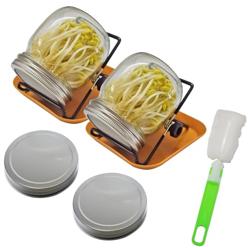 JINLICOME 2Pcs Sprouts Growing Kit Sprouting Jar Kit Sprouting Lids for 2Pcs Large Wide Mouth Mason Jars for Growing Broccoli, Alfalfa, Mung Bean. (16 oz)