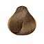 H1 Coolest Brown
