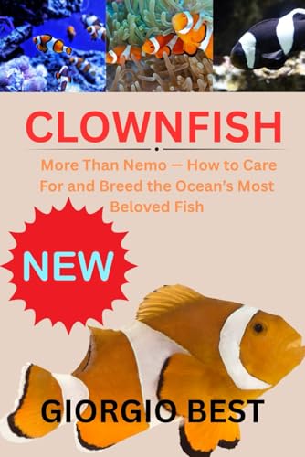 Clownfish: How to Care and Breed