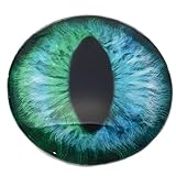 GLASS EYES: Glass eye cabochons for jewelry making, sculptures, taxidermy, and other crafting projects. FLATBACK CABOCHONS: Slightly domed on the surface of the eye, and flatback on the backs. VERSATILE: Use these glass eye cabcohons in fx puppertry ...