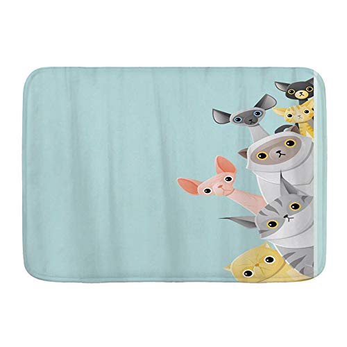 Haveia Microfiber Bath Mat Rug,Cute Striped Shorthair Peekaboo Cats Cartoon Kids Cat Lover