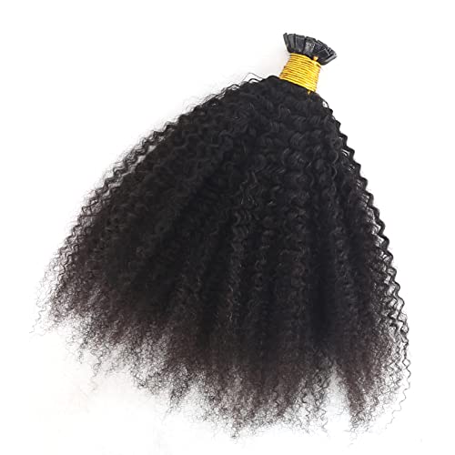 Zigzag Hair Afro Kinky Curly Flat Tip Human Hair Extensions 4B 4C Flat Tip Keratin Hair Extensions 100Strands Hair Extensions Fusion Human Hair Natural Color (20Inch, 4B 4C) #TOP1