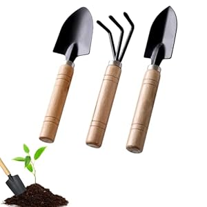 Tuingereedschapsset, 3-delige tuingereedschapsset, tuinschep, klein, houten handvat, handheld tuinschep, tuinset voor bonsai, gereedschap, planten, potbloemen