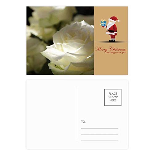 Cartes postales Père Noël roses pour une décoration de table et vœux magiques