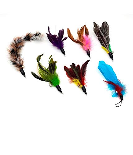 4 Paws Pet World - Interactive Feather Refills for Cat Wand Toy - Cat & Kitten Toys - Feather Cat Teaser Toys