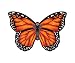 WindNSun Microkite Mini Mylar Butterfly 4.7" Monarch Kite