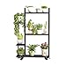 LLKJ Fleur étagère en Fer forgé Multicouche Au Sol Balcon Plateau intérieur Vert Radis charnue Fleur étagère personnalité (Color : Black)