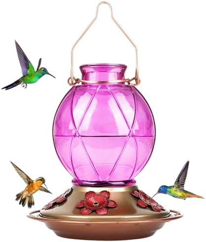 BOLITE Hummingbird Feeder, Glass Hummingbird Feeder for Outdoors,...
