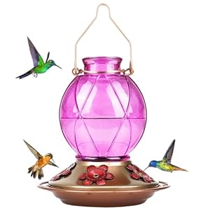 BOLITE Hummingbird Feeder, Glass Hummingbird Feeder for Outdoors,18016-P Netted Texture Ball Shape Bottle, 20 Ounces, Lavender