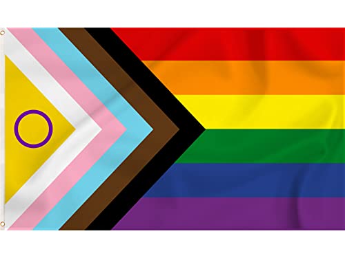 Storm&Lighthouse Intersex Progress Gay Pride LGBTQ+ Flagge Regenbogen mit Chevron 152 x 91 cm mit Ösen Pride Zubehör Gay Pride Banner für Party Parades, Karneval, Festival Dekorationen und Feiern