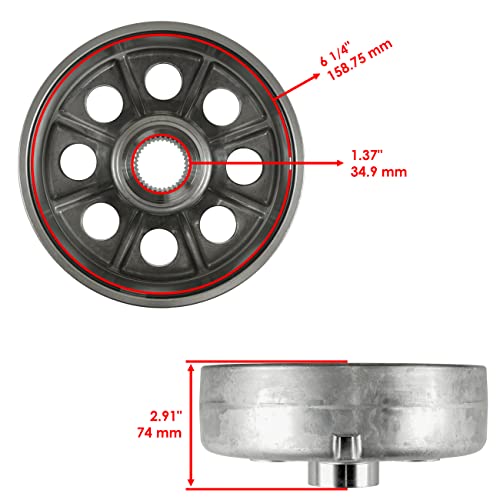 Caltric Rear Brake Drum With Cover And Shoe Compatible With Honda Fourtrax 300 Trx300Fw 4X4 1988 1989 1990-2000 #TOP1