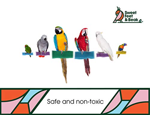 Image of Sweet Feet and Beak Comfort Grip Safety Perch for Bird Cages - Pedicure Perch for Birds to Keep Nails and Beaks in Top Condition - Safe Easy to Install Bird Cage Accessories XL 13.5 inch - Green