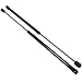 (2) 20 Inch 10 lbs Gas Prop Lift Springs Rod Struts Heavy Duty Tool Box Lid Top RV Pair