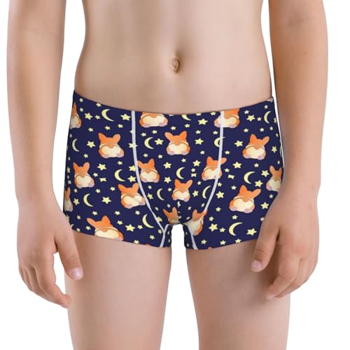 Boys' Cotton Boxer Brief Soft Underwear-Corgi Lying With Moons And Stars