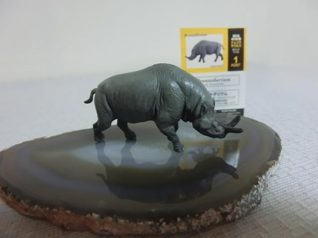 ☀️DinoTales チョコラザウルス シリーズ Amazon.co.jp: チョコラザウルスDINOTALESフィギュア