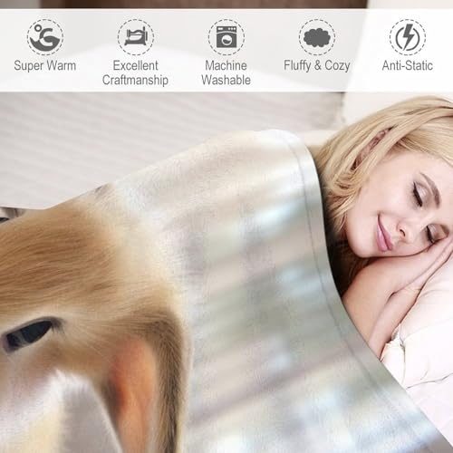 Couverture en lapin flannel douce plaid lit et canapé 140x180cm