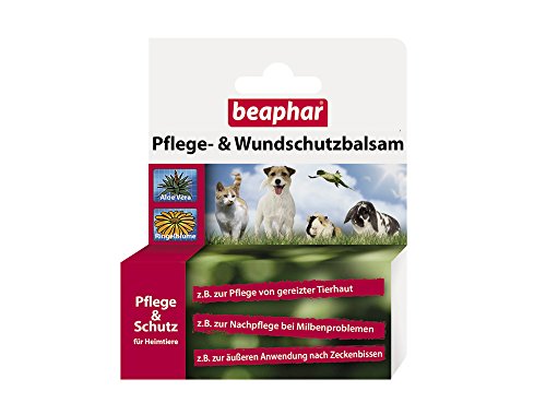 Ekzem Desinfektionsmittel Erfahrung - Top 5 Modelle am Markt im Detail