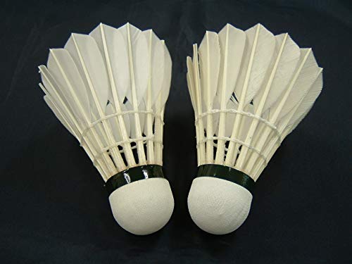 Amazon | 頑張らないバドミントン研究会 バドミントン シャトル