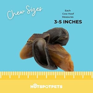   Full-Size-Cow-Hooves-for-Dogs-All-Natural-Long-Lasting-Dog-Chews-Made-from-Grass-Fed-Cattle-Tasty-Treat-for-Oral-Hygiene-Fantastic-Alternative-for-Rawhide-and-Bully-Sticks-25-Pack