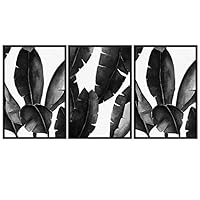 3 Piece Framed Canvas Wall Art Black and White Tropical Leaves Canvas Prints Home Artwork Decoration for Living Room,Bedroom - 16