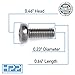 HPP Stainless Steel License Plate Screws Compatible with Lexus Models