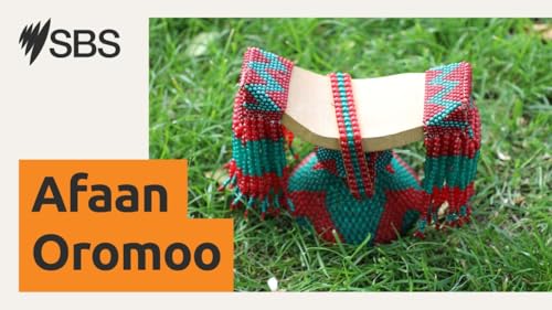 Aadaa bareedaa qabnu jabeeffachuuf dirqama qabna jedhti Ade. Fayinee Qaabatoo cover art