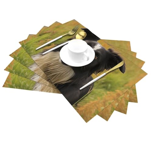 Set de table PVC Border Collie lavable Mohado 30x45cm