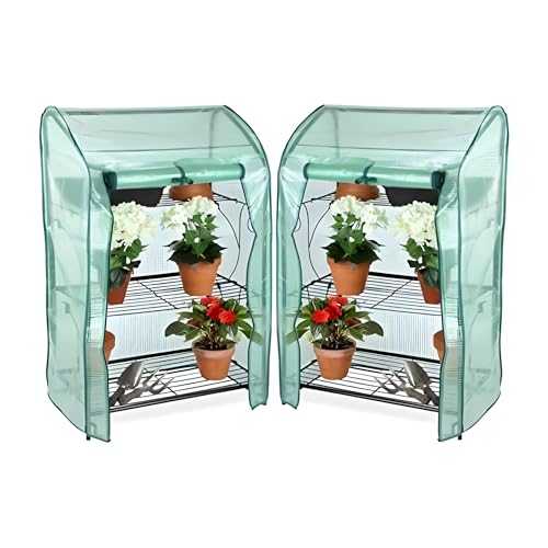Lacewing 3-Tier Mini Greenhouse Cold frame Shelf Plant Germination Stand with Removable Cover (2)