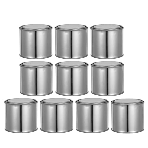 TOVINANNA Lot de 10 Seaux à Peinture Métalliques Vides 02 L avec Couvercles Étanches Petits Pots Ronds en Fer pour Rangement Bricolage et Prélèvements sur Chantier
