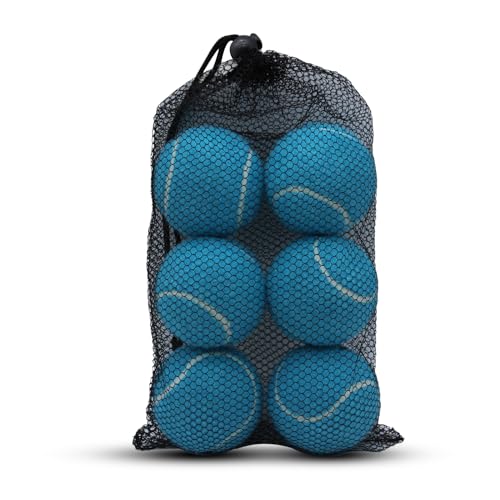 Swingers Tennis Balls 6 Pack Training High Elasticity Exercise Tennis Balls for Beginner Practice Balls for Pet Dog with Mesh Carry Bag Easy to Transport (Light Blue)