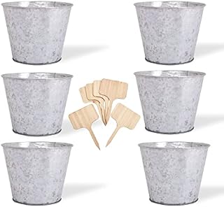 Katai Galvanized Metal Buckets - 6 Pack - Steel Planter Pots for Flowers, Plants, Decor, Home Organization, Weddings - Complete with 6 Labels