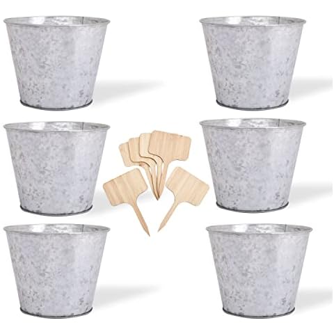 Katai Galvanised Metal Planter Buckets - 6 Pack Cover