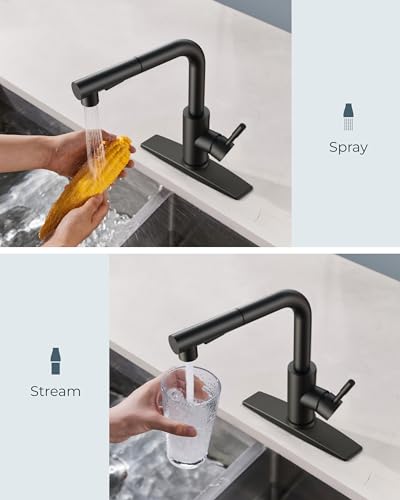 Image of FORIOUS Kitchen Faucets with Pull Out Sprayer, Stainless Steel, Matte Black