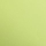 Clairefontaine - Ref 97252C - Maya Coloured Smooth Drawing Paper (Pack of 25 Sheets) - 270gsm Paper - 50 x 70cm - Moss Green Colour - Deep Dyed, Acid Free, pH Neutral