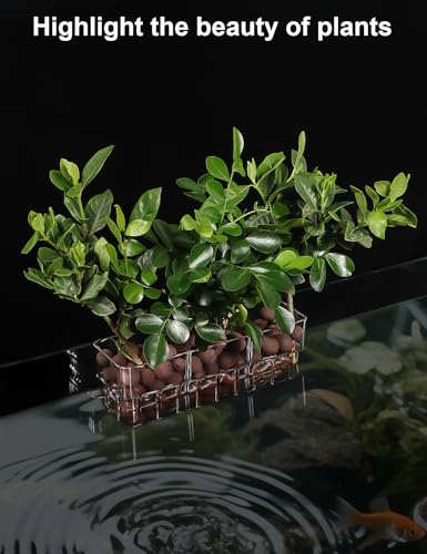 Image of 1 Pack Clear Aquarium Plant Holder Top Hanging Fish Tank Plant Holders Fits up to 0.8in Tank Edges, Aquarium Decor