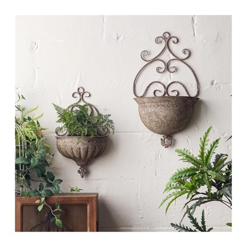 Support suspension plante en fer pour embellir un mur extérieur terne - 3