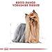 ROYAL CANIN Yorkshire Terrier Adult | Doppelpack | 2 x 500 g | Trockenfutter für ausgewachsene Yorkshire Terrier | Ab dem 10. Monat | Zur Unterstützung des gesunden Alterns