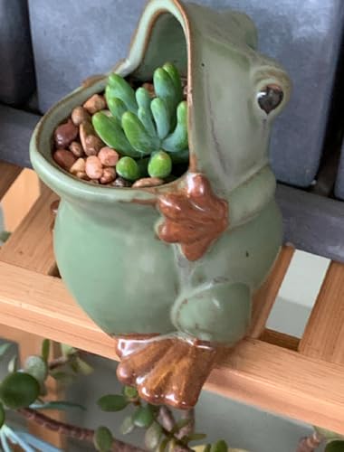 Decoración Exterior, Kitchen Imagen adicional