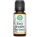 Easy Breathe Respiratory Blend Aromatherapy, Essential Oils for Diffuser or Nebulizer 15 ml by Creation Pharm