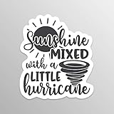 Sunshine Mixed with A Little Hurricane Vinyl Decal Sticker - Truck Car Van SUV Window Wall Cup Laptop - One 5.5 Inch Decals - MKS1565
