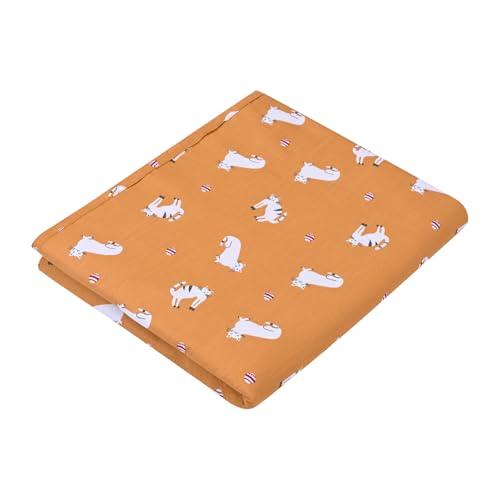 Image of Trance Home Linen 100% Cotton | Kids Dohar | Single Bed | 150 GSM | Reversible Ac Comforter | Light Weight All Season Soft Blanket (58x90 Inches | Kittens)