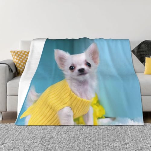 Couverture lit microfibre chihuahua légère et douce pour canapé
