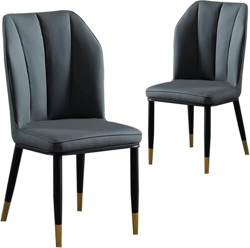 AVLLSO Juego de 2 Sillas Acolchadas con Respaldo - para Cocina, Hogar, Restaurante & Sala de Estar(Grey)