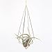 NCYP Rustic Style Freestanding Wall Hanging Quadrilateral Pyramid Shape Geometric Metal Tillandsia Air Plants Rack Holder Rose Gold 10inches Height No Plants