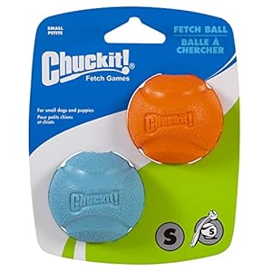 ChuckIt! High-Bounce Rubber Dog Fetch Ball, Small (Colors Vary) 2 Count (Pack of 1), for Large Breeds