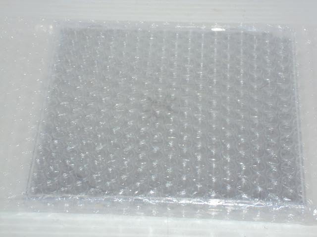 Amazon | 【純正品】トヨタ 純正ナビ プログラムディスク