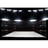 DASHAN 7x5ft Boxing Ring Backdrop Squared Circle Contest Event Arena Photography Background Sports Theme Backdrops Boxer Infighter Boys Men Portrait Photo Booth Props