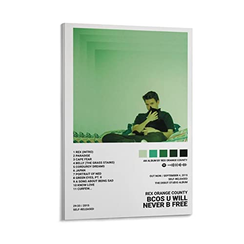 Poster Rex Orange County BCOS U WILL NEVER B FREE pour chambre et bureau