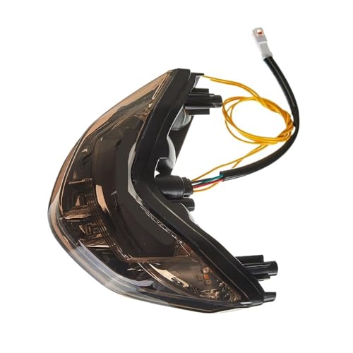 Feu arrière LED intégré avec clignotants pour Monster 821
